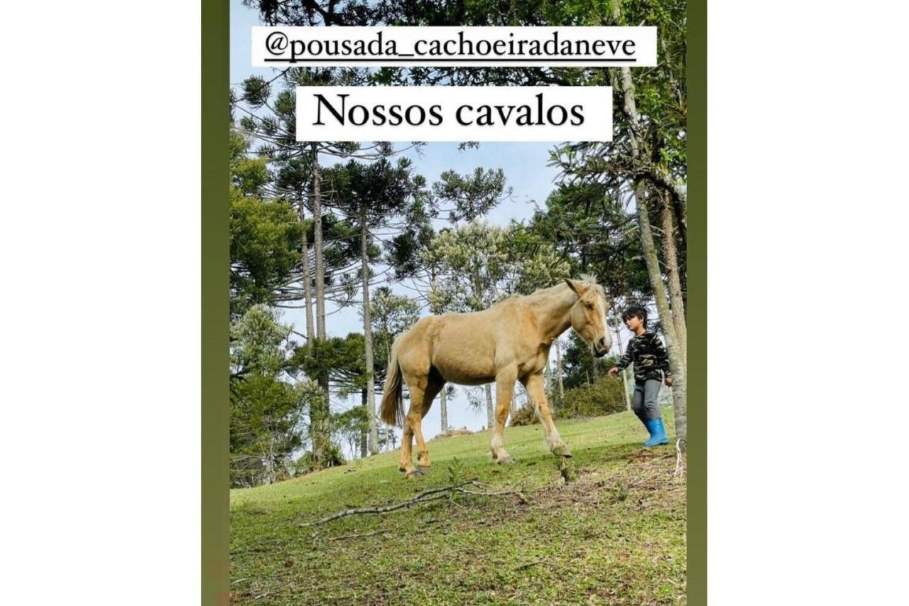 Floresta Secreta- Pousada Cachoeira Da Neve 乌鲁比西 外观 照片