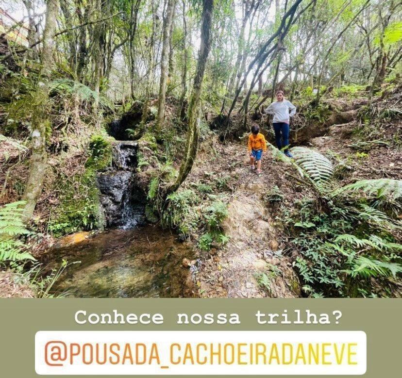 Floresta Secreta- Pousada Cachoeira Da Neve 乌鲁比西 外观 照片